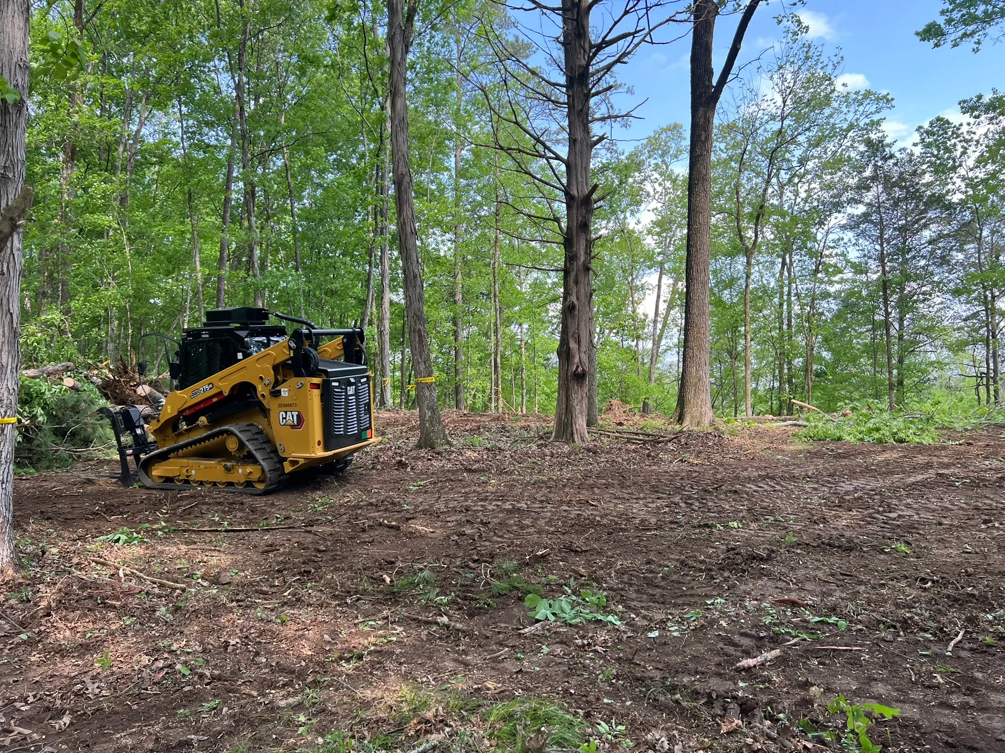 Land Clearing project work — photo 4
